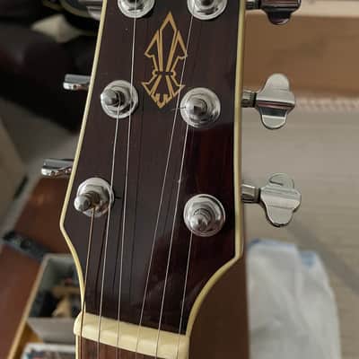Wechter Nashville Special Elite NV-5413CE Acoustic Guitar Plek'd Fishman OHSC image 16