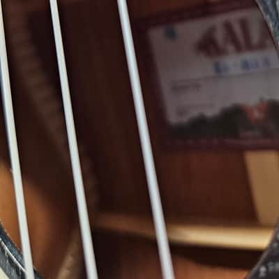 *BLEM* KALA KA SDH T Solid Salt & Pepper Doghair Tenor Ukulele inkl. Gigbag image 3