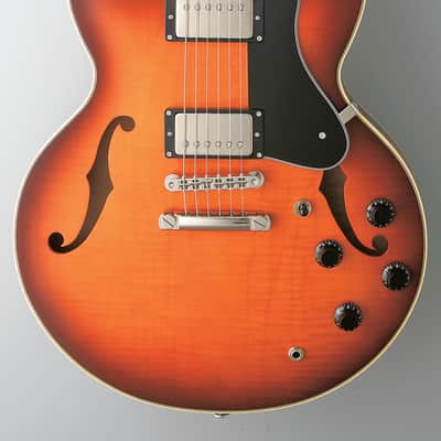 FGN MSA-HP Masterfield HH Hollow Body with Rosewood Fretboard Antique Sunburst
