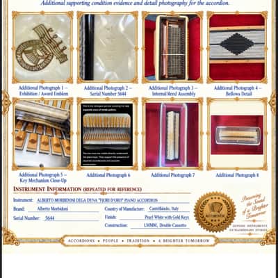 Accordion DEGA Dyna "Fiori D'Oro" 1960-1970 - Tone Chamber/ Cassotto image 4