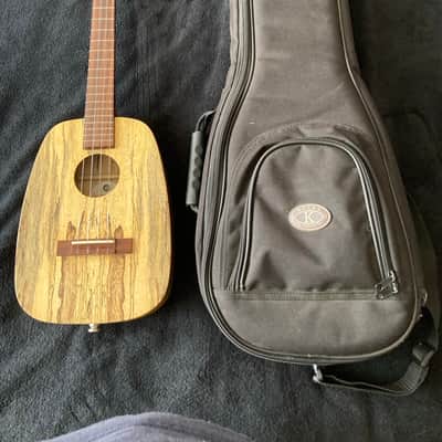 Immagine David Iriguchi Tenor Pineapple Ukulele with Case - 21