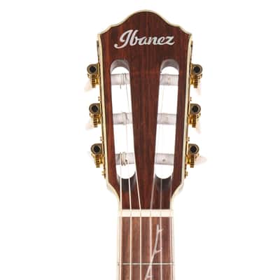 Ibanez TOD10N Tim Henson Signature Nylon Acoustic-Electric Transparent Black Flat image 4