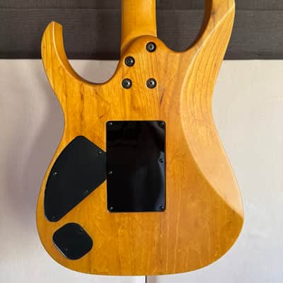 1994 Ibanez RG670 NTM Ash MIJ Fujigen + Hard Case image 8