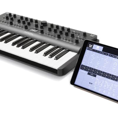 MODAL ELECTRONICS ARGON8 (37 KEYS) image 5