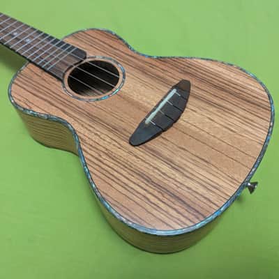 QUALITY SOPRANO UKULELE DONNER DUC -2 WITH CASE image 4