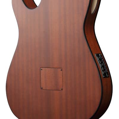 Ibanez FRH10NRGF - Rose Gold Metallic Flat - Thinline Nylon String Acoustic Electric Guitar image 4