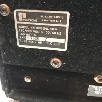 Polytone Mini Brute image 6