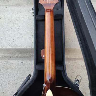 PRS A40ETS 2018 - Sunburst image 10