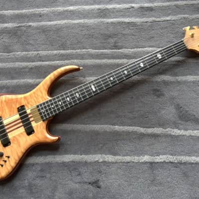 Alembic Roque 5 image 1