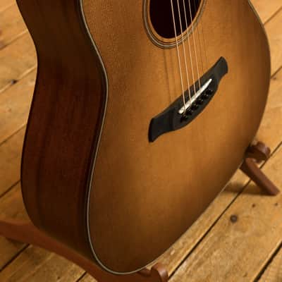 Taylor 500 Series | Builder's Edition 517 - Wild Honey Burst *B-Stock* image 6