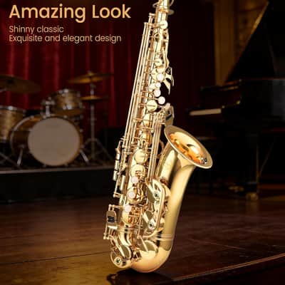 Leo Jaymz Eb Alto Saxophone - One-Piece Body or Neck Construction, H68 Brass, with Thickened Travel Bag - Gold image 6