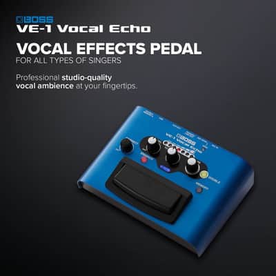 Mint Boss VE-1 Vocal Echo image 2