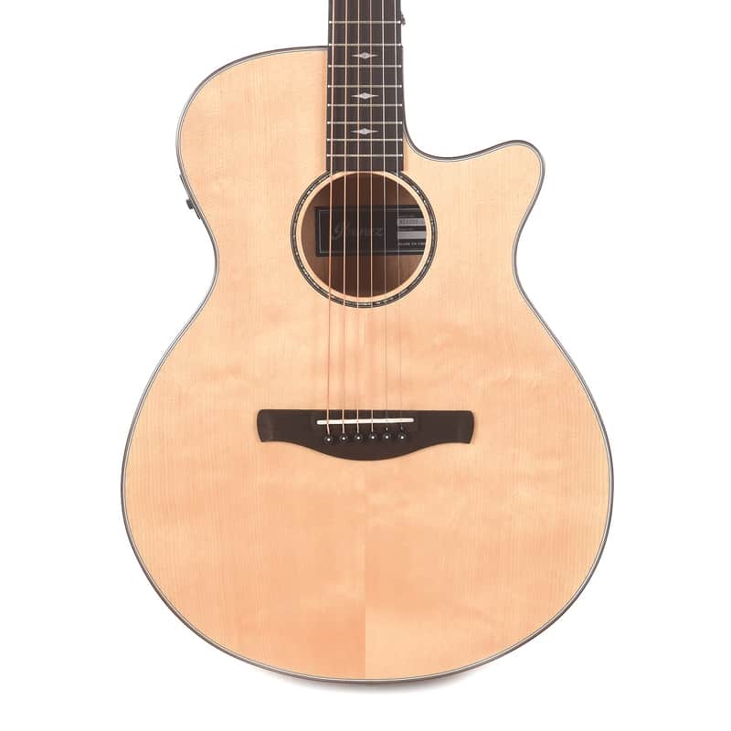 Ibanez AEG200 Grand Concert image 2