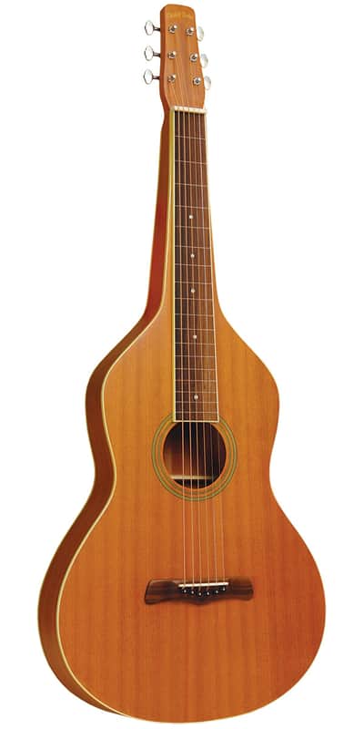 Gold Tone GT-WB Weissenborn For Left Handed Players w/ Bag image 1