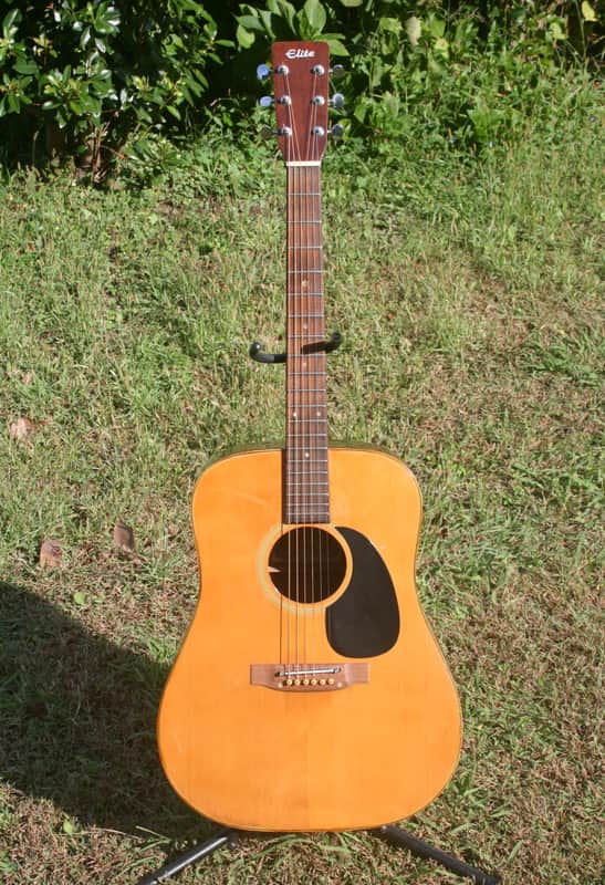 Takamine Elite TW-20 D size Guitar 1975 - Natural | Reverb Australia