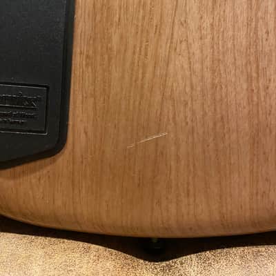 Immagine Warwick Thumb BO 2006 Dirty Blonde LTD - 8