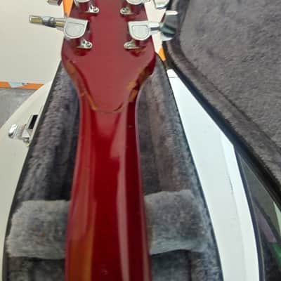 1983 USA Hamer Special with Humbuckers blonde image 11