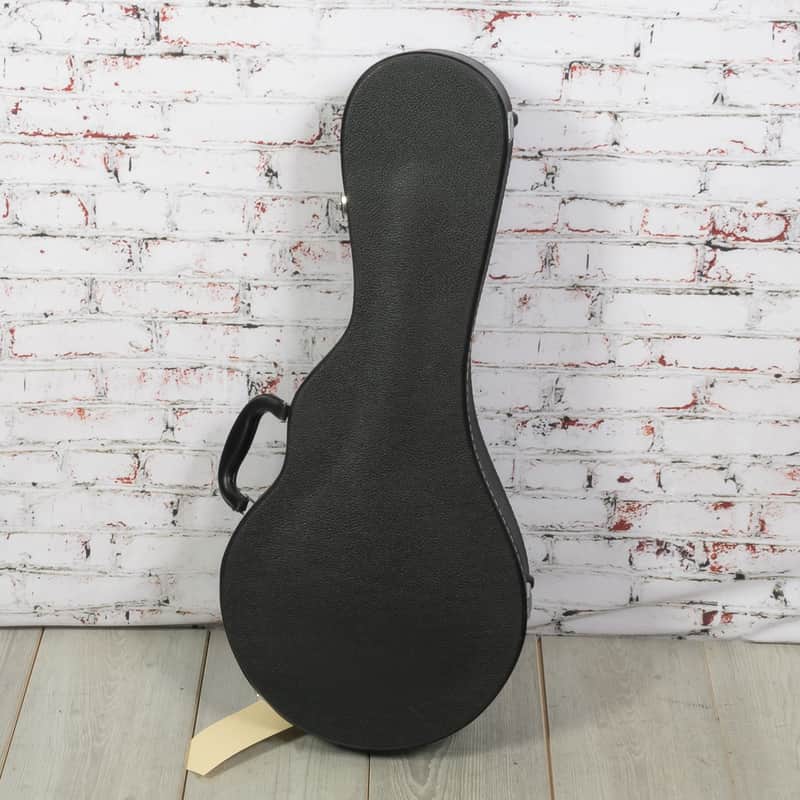 Unbranded - Universal A/F Style Mandolin HSC Black - USED image 1