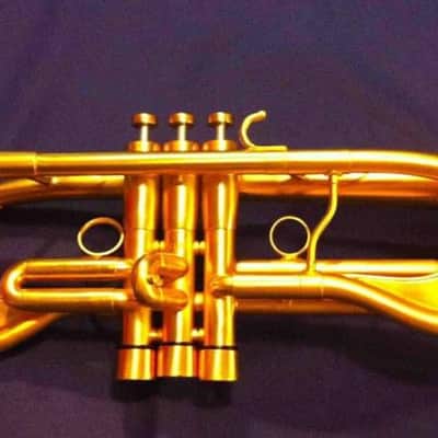 Monette Flumpet 2008 - Gold 24k image 1