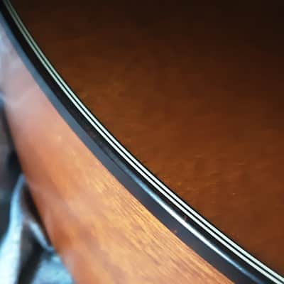 Breedlove Revival USA Custom Shop hog top Dread image 15