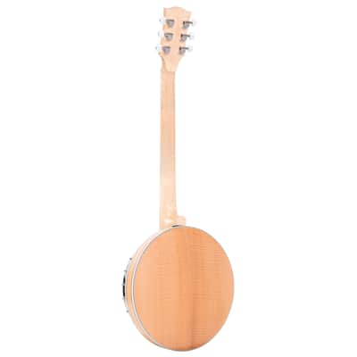Gold Tone 6-String Deluxe Banjitar Bell Brass Tone Ring & Pickup with Hard Case image 9