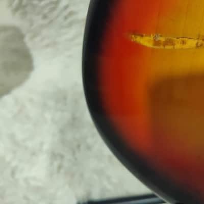 Fender Stratocaster Hardtail 1975 image 7