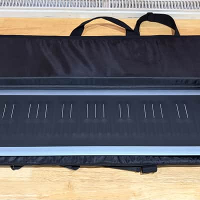 ROLI Seaboard RISE 2 (Platinum Blue) 49-Key + Equator2 + Soft Case image 9
