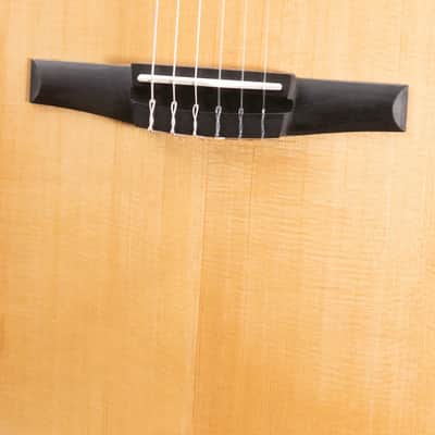 Taylor 214ce-N Nylon Grand Auditorium Acoustic/Electric Guitar with Gig Bag image 13