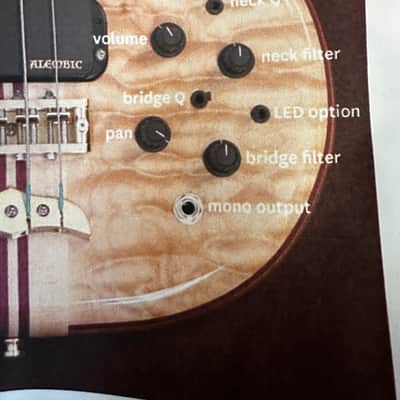 2025 Alembic Crest Bass with Walnut top image 6
