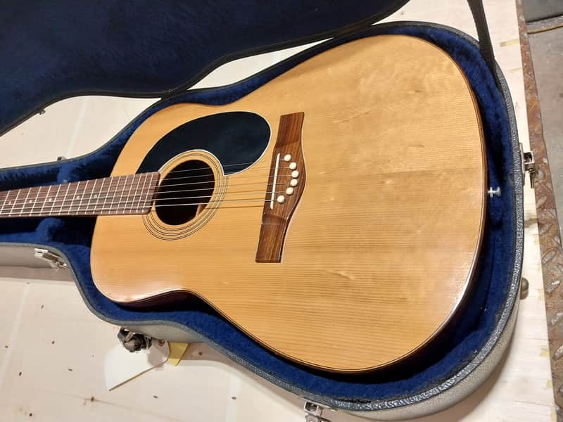 Hascal Haile Dreadnought 1979 - Natural image 1