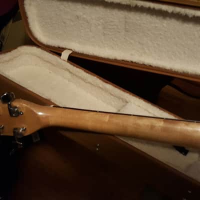 Washburn FV2V 1983 Blueburst image 4
