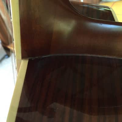 Alvarez 2551 12 String Limited Edition Silver Anniversary Model Gibson L-1 L-00 l-2 look-alike 5037 image 11