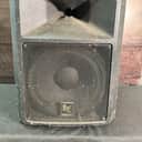Electro-Voice EV SX200 12" PASSIVE Passive Speaker (Edison, NJ)