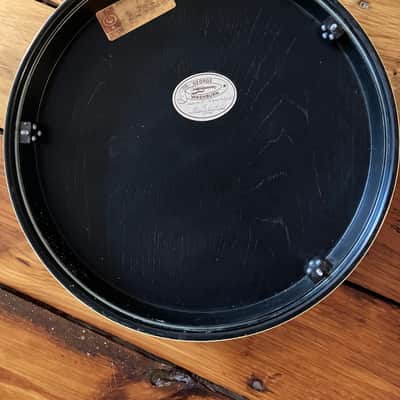 Washburn 1981 B-14 5-String Resonator Banjo B14 image 7