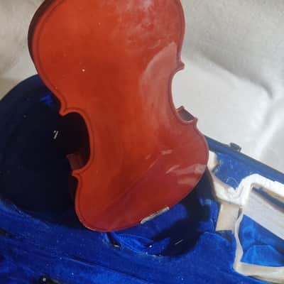 Viola image 2