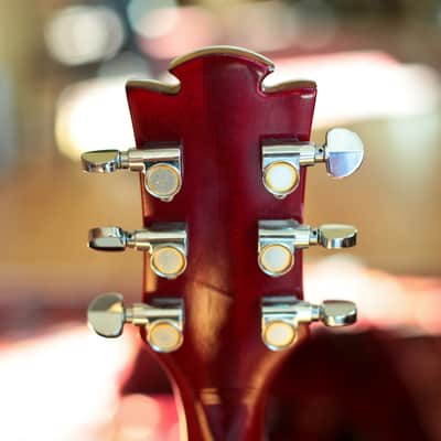D'Agostino DBE-1 Benchmark Electric Guitar image 12