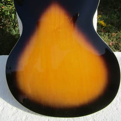 Washburn HB30TSK 335 Dot Neck Copy Guitar, 2012, HSC, Mint image 12