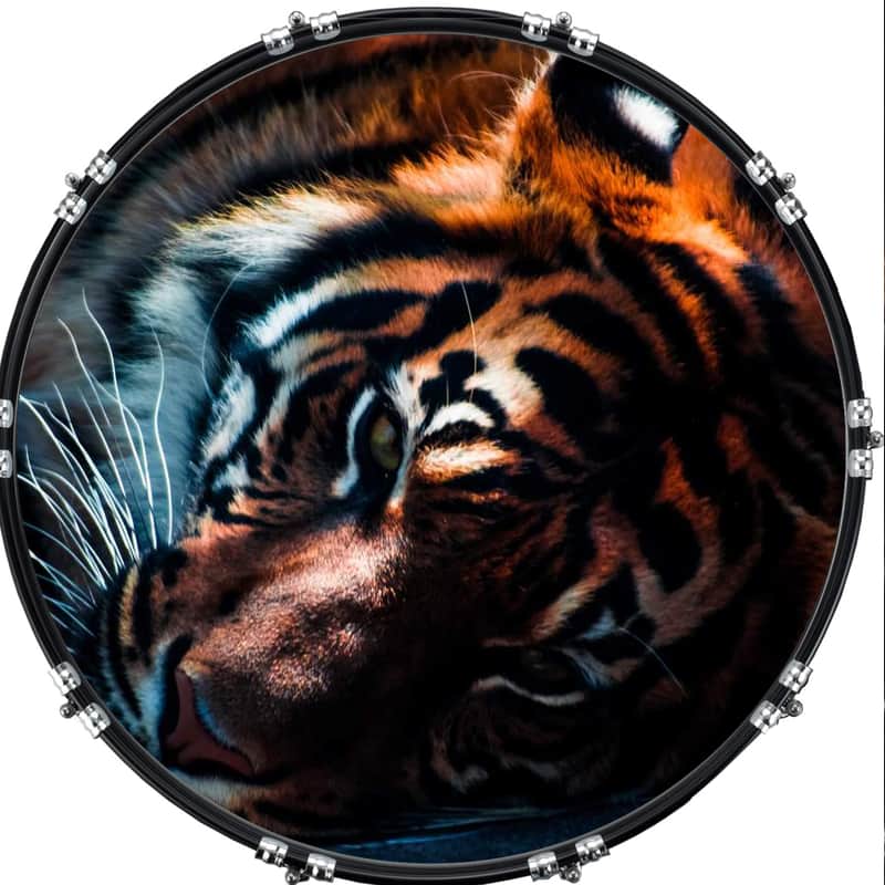 Custom Graphical 22" Kick Bass Drum Head Skin -Cat Tiger 2 image 1