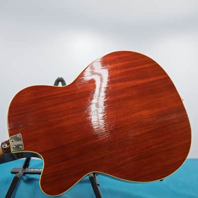 Arnold Hoyer Hollow Body 60's - brown image 9