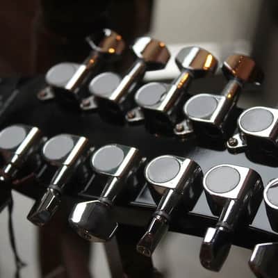 DANELECTRO Vintage 12 Strings F Hole, Black, 3, 60 KG image 9