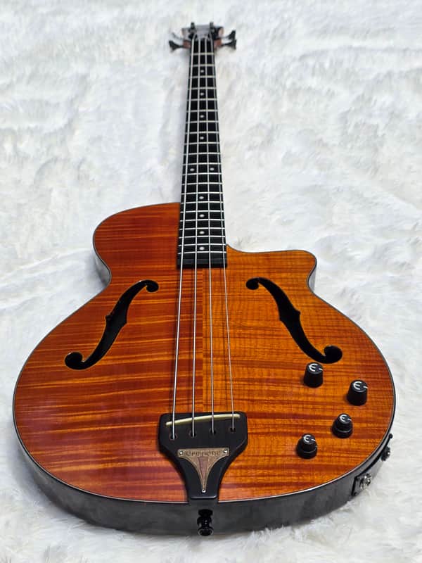 2010 Epiphone Zenith Bass Guitar - Mint - Gorgeous Flame Maple Top image 1