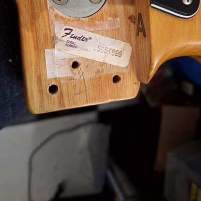 Fender Stratocaster 1979/81 - Natural image 9