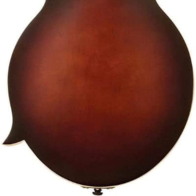 The Loar LM-310F-BRB Honey Creek F-Style Mandolin image 4