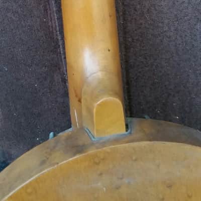Vintage Banjo Banjolele Banjolin Tenor Banjo Ukelele N/a 1910-1940 Curly maple Natural image 4