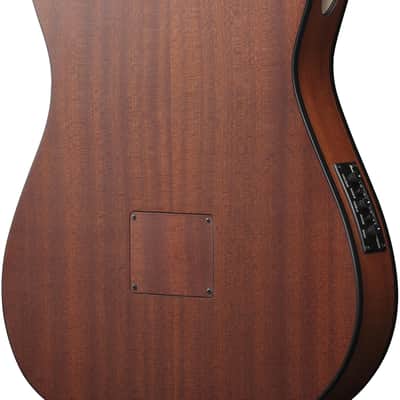 Ibanez FRH10NBSF, Thinline Nylon Acoustic Electric Guitar - Brown Sunburst image 8
