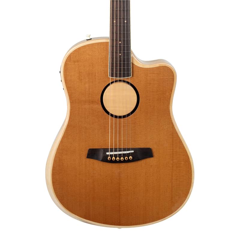 L.R. Baggs AEG-1 Acoustic Electric Guitar - Torrefied Sitka Spruce image 1