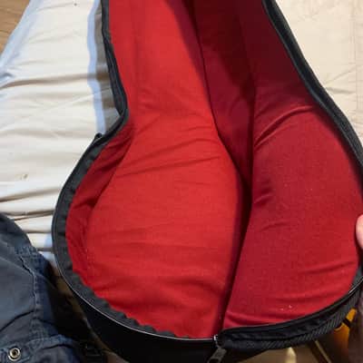 Oscar Schmidt Washburn OM-10 Mandolin and Superior Case Gigbag 2000s - Sunburst image 14