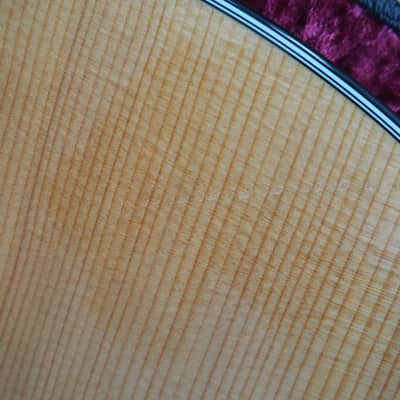 Taylor 312ce V-Class Bracing 2021 WITH Case image 9