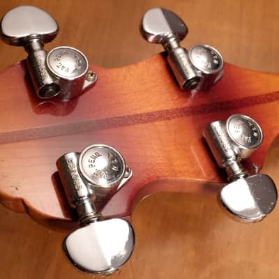 Vega 1967 Pete Seeger Long Neck Banjo image 12