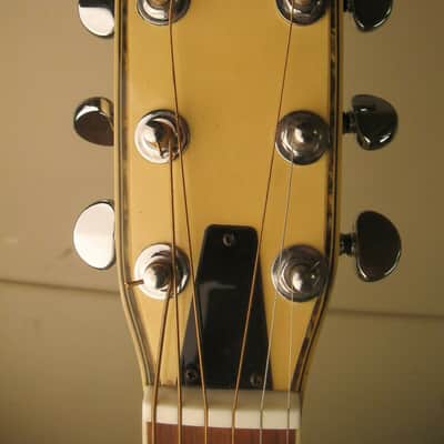 MEINL's "Chinchilla" Japan,vintage Folk-Westerngitarre. image 2